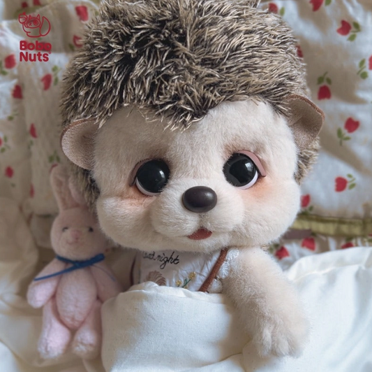 Bobo Nuts | Motty Hedghog